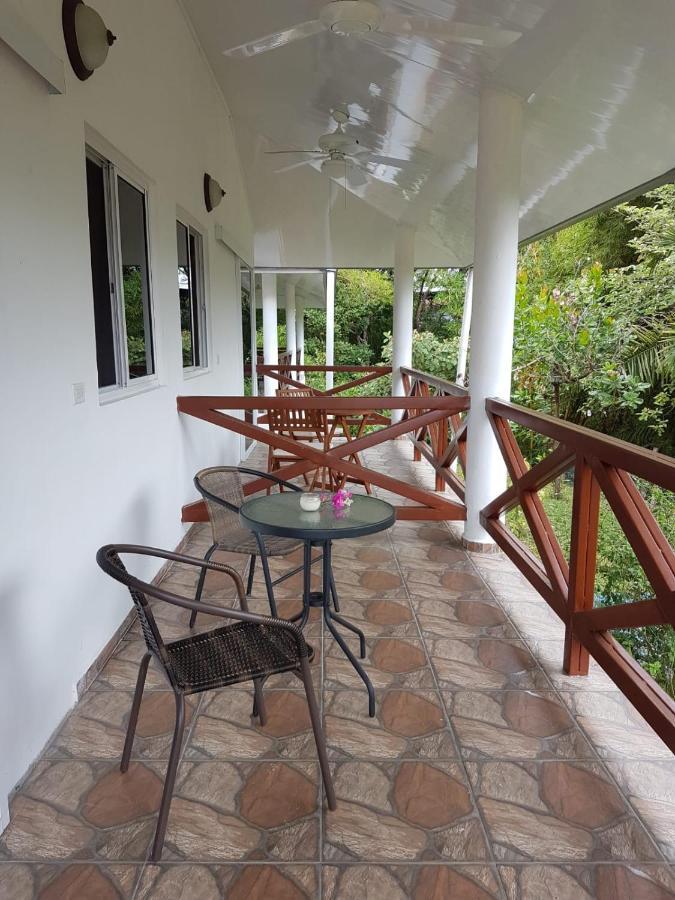 Magic Mountain Lodge Las Lajas  Eksteriør billede